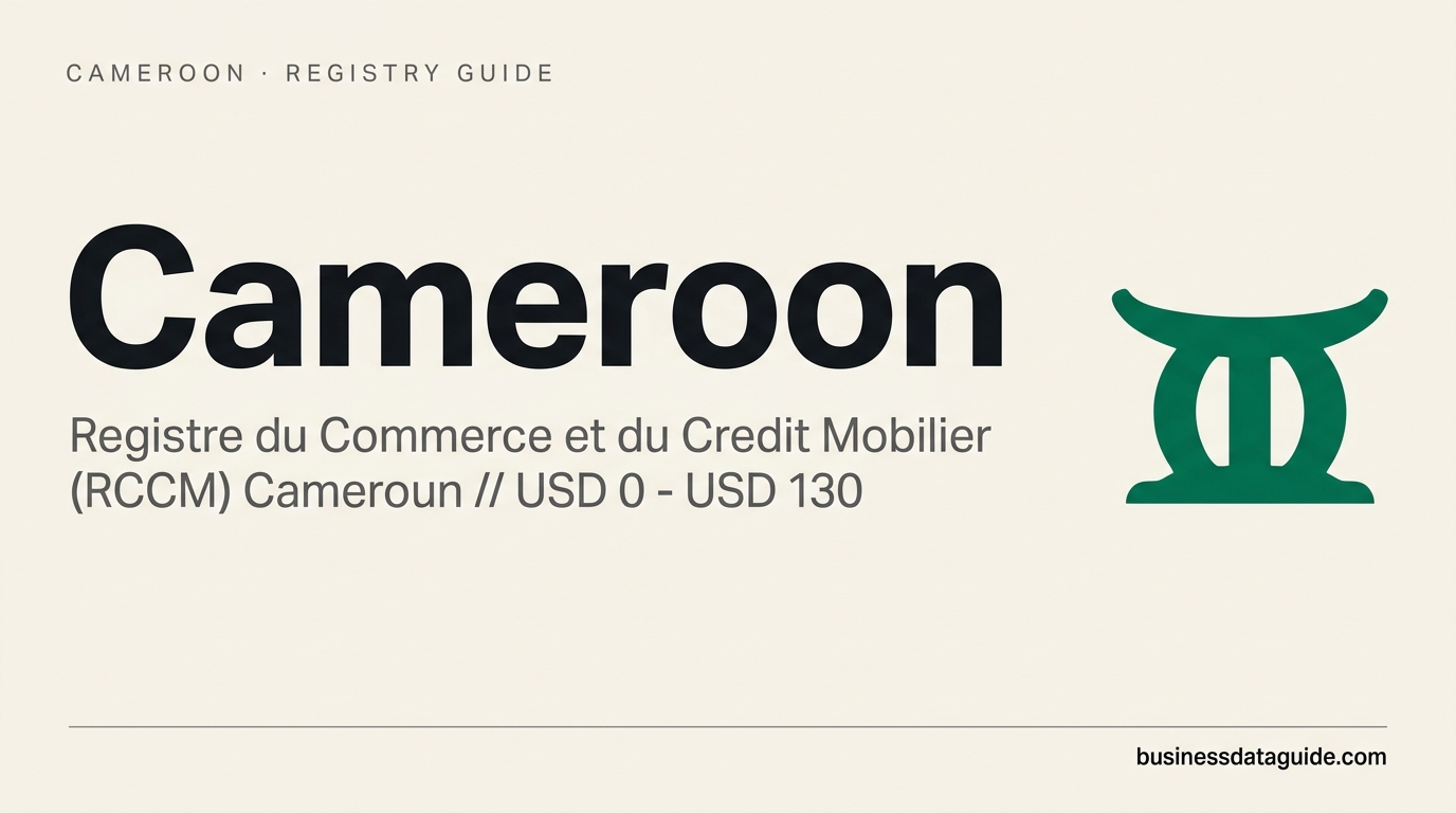 Cameroon company registry guide cover