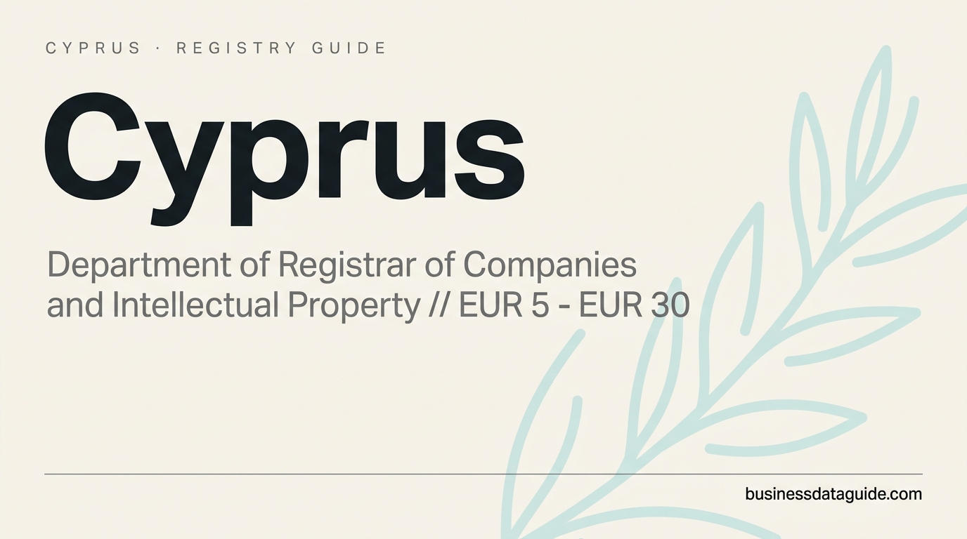 Cyprus company registry guide cover