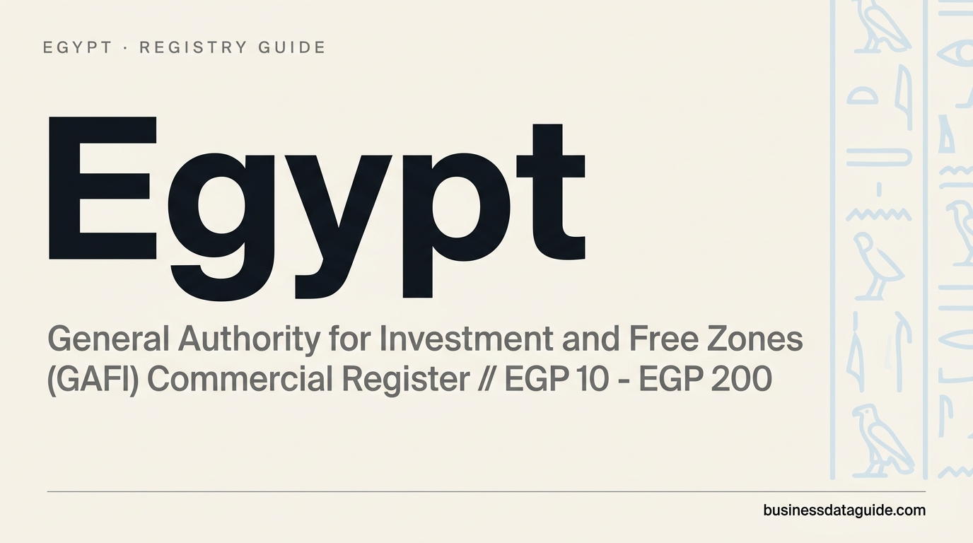 Egypt company registry guide cover