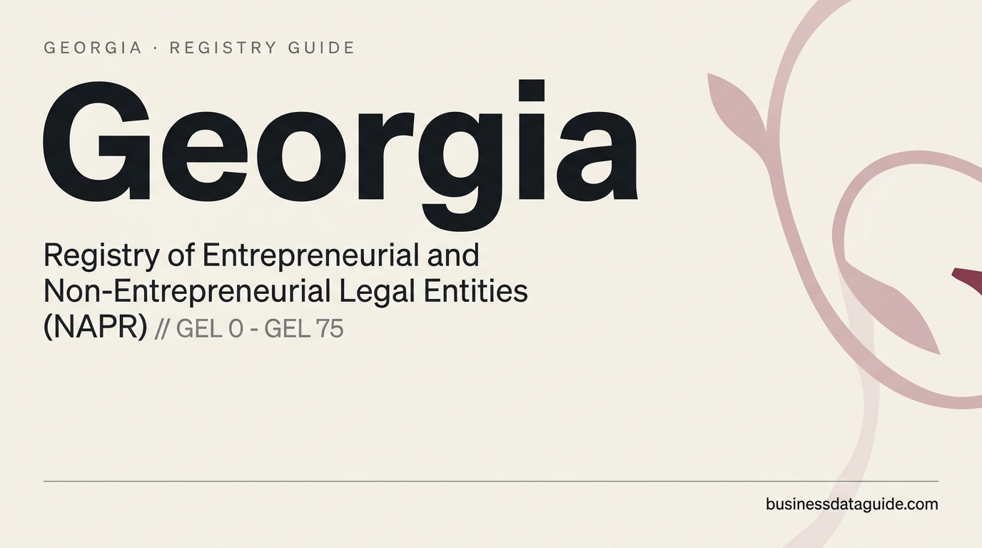 Georgia company registry guide cover