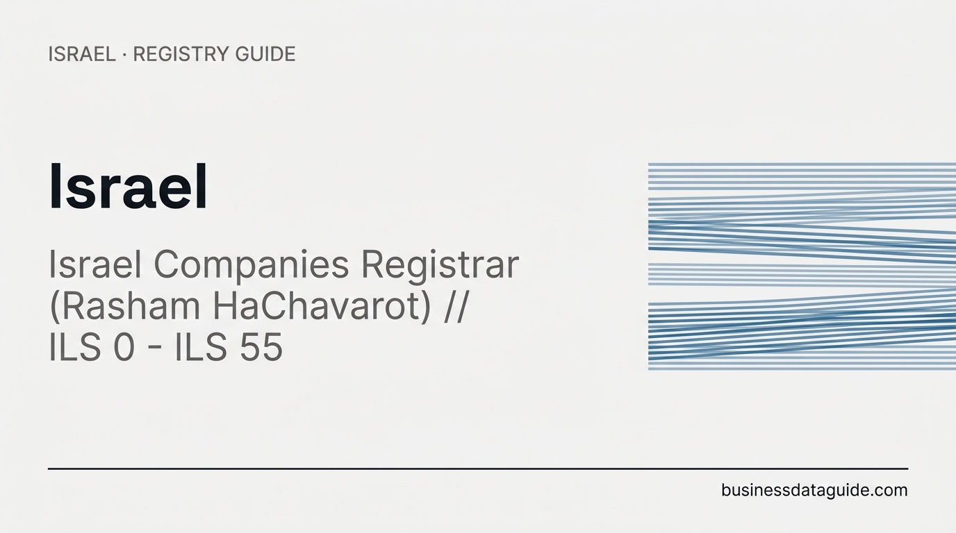 Israel company registry guide cover
