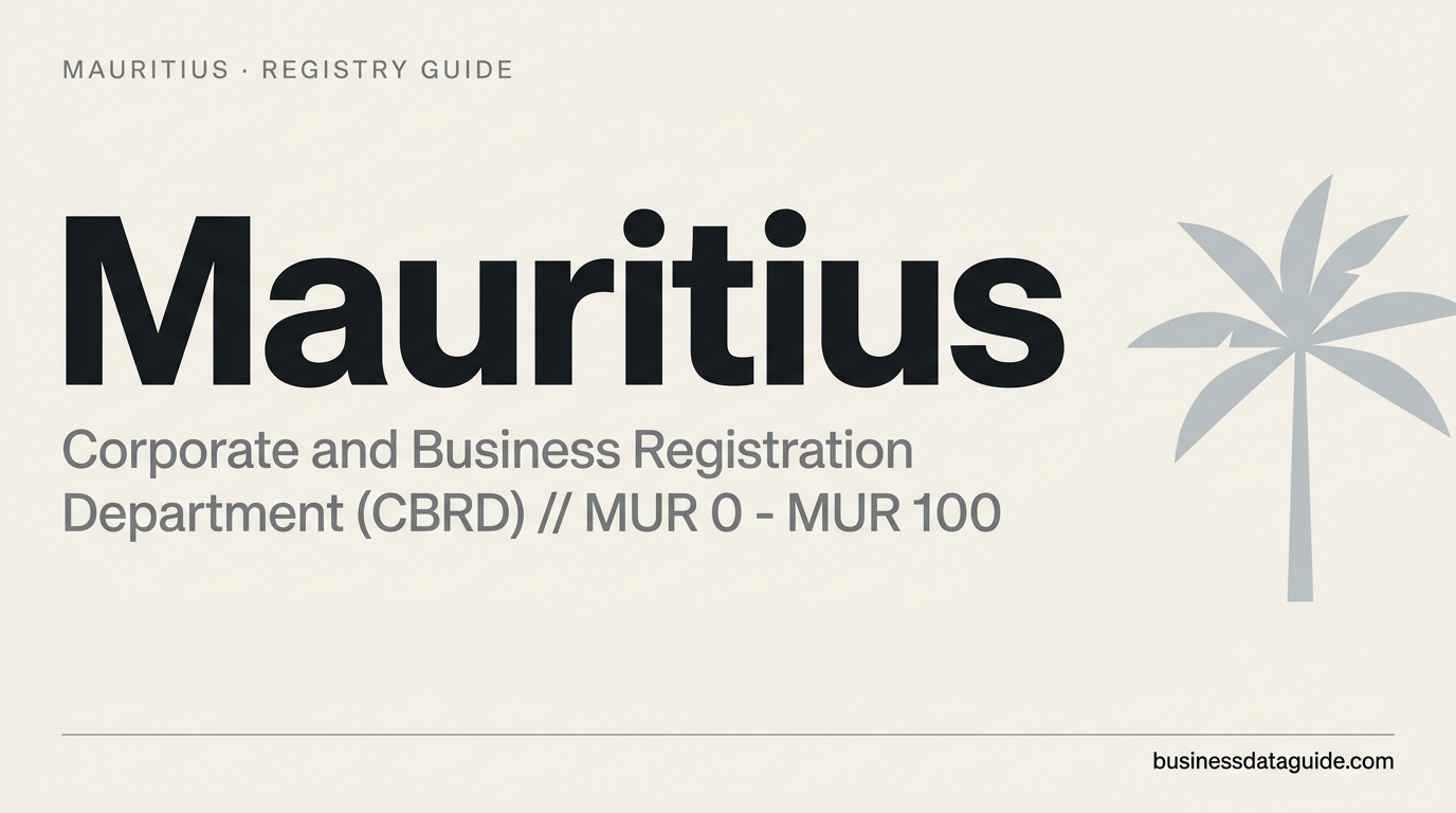 Mauritius company registry guide cover