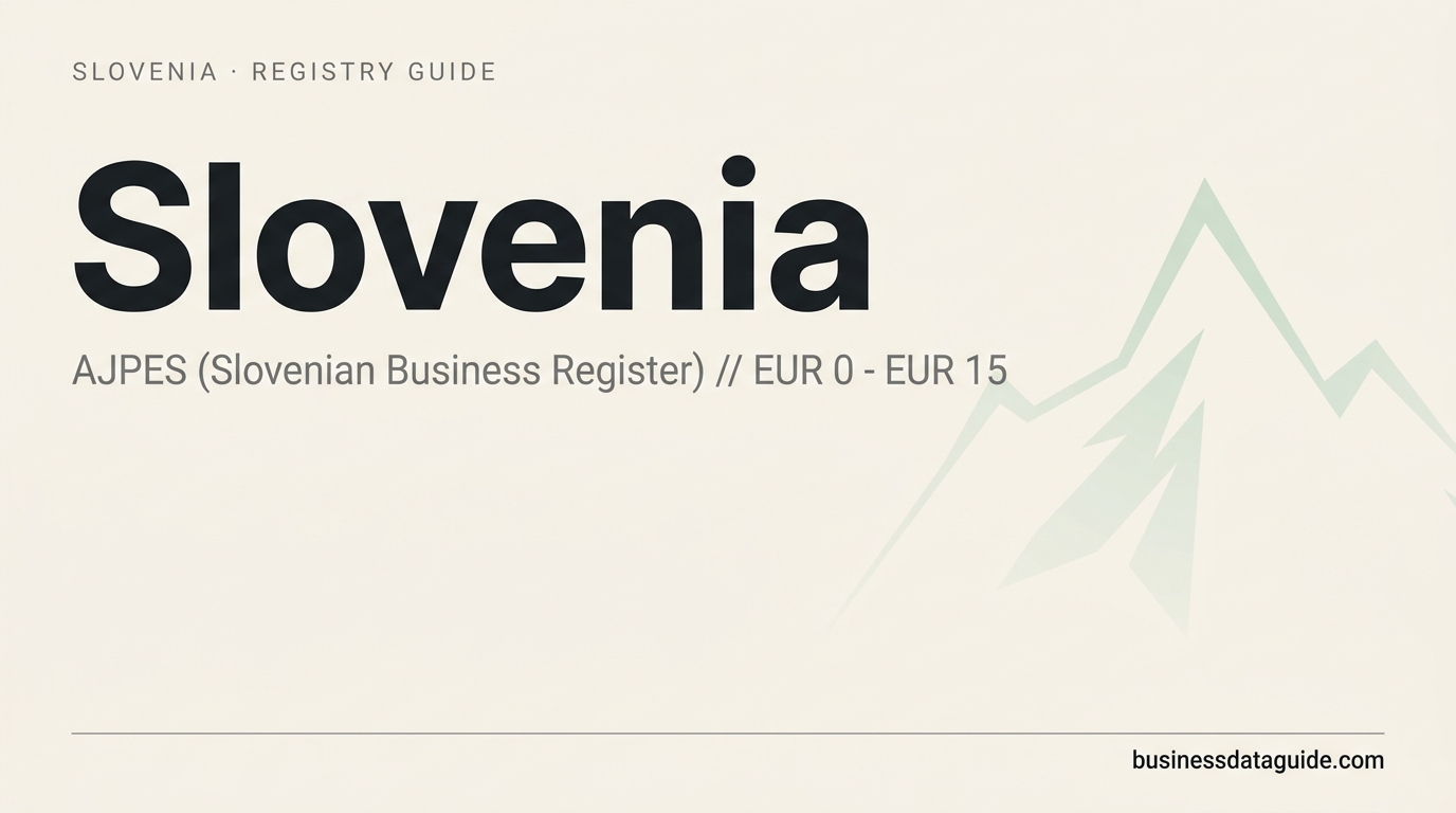 Slovenia company registry guide cover