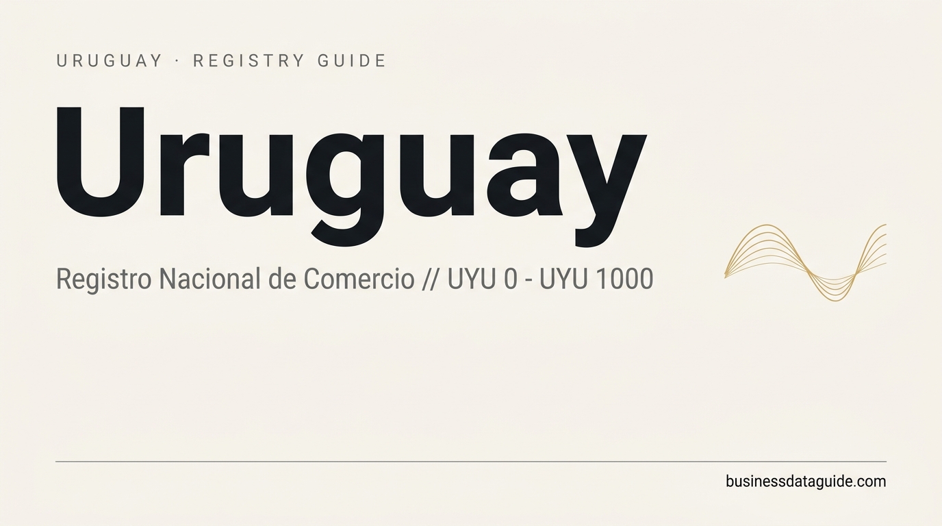 Uruguay company registry guide cover